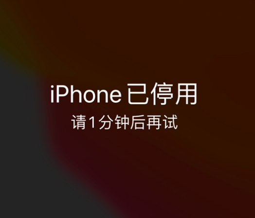 城区苹果手机维修分享:iPhone 显示“不可用”或“已停用”怎么办？还能保留数据吗？ 