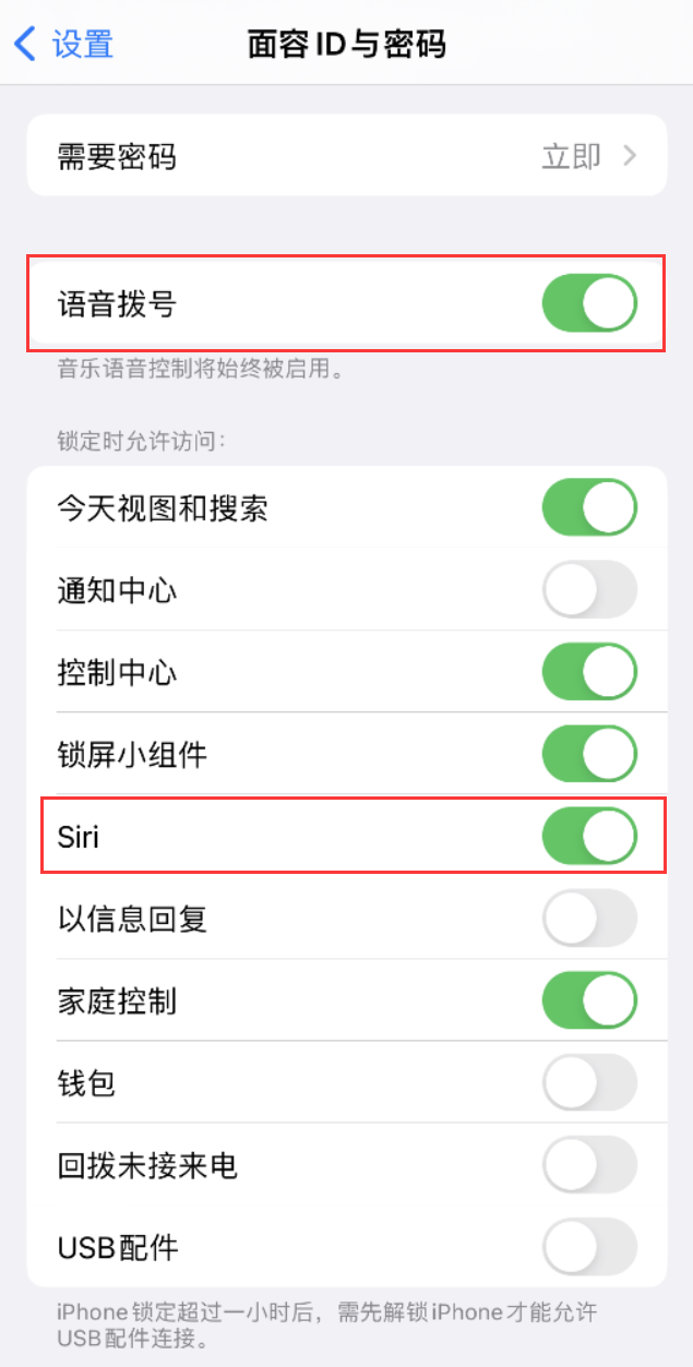 城区苹果维修网点分享不解锁 iPhone 的情况下通过 Siri 拨打电话的方法 