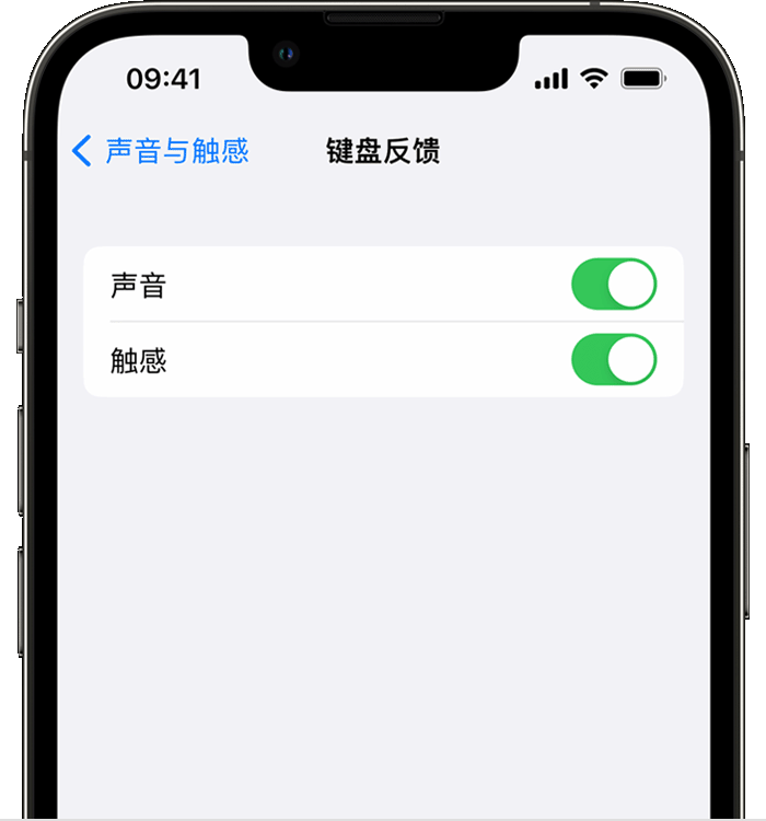 城区苹果14维修分享iPhone 14 系列机型如何开启键盘声音或触感反馈 