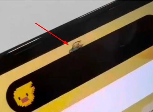 城区苹果14维修分享iPhone 14 Pro Max灵动岛怎么养宠物 