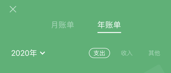 城区苹果手机维修分享如何在 iPhone 上查看支付宝和微信年支出账单 